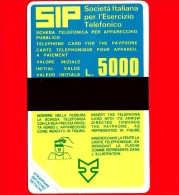 Nuova - Scheda Telefonica - Italia - SIP - SIDA NUOVA - Primo Gruppo Sida  - C&C 1012 A - Golden P14 - Públicas Precursores