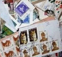 India KILOWARE DjungleBag 10 KG (22LB) Smaller Stamps      [vrac Kilowaar Kilovara Mixture] - Lots & Kiloware (mixtures) - Min. 1000 Stamps