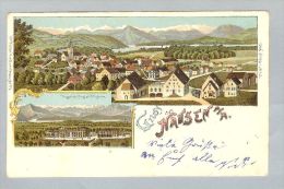 AK ZH Hausen A.A. 1902-04-30 Litho H.Guggenheim #824 - Hausen Am Albis 