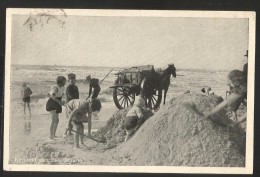 EGMOND AAN ZEE Noord Holland Strand 1958 - Egmond Aan Zee