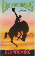 Wyoming State Symbol, Greetings From Wyoming C1930s Vintage Linen Postcard - Andere & Zonder Classificatie