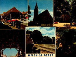 91-MILLY-la-FORET..VUE DIVERS....CPM - Milly La Foret