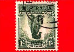 AUSTRALIA - Usato - 1932 - Uccelli - Bird - Oiseaux - Lyrebird - 1 - Usados