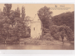 DILBEEK : Den Toren Op Het Eiland Van Het Ste Alenapark - Dilbeek