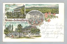AK ZH Schneitberg B.Elgg 1902-04-01 Litho Guggenheim #5329 - Elgg