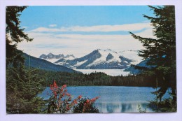 MENDENHALL GLACIER, JUNEAU, ALASKA - Juneau