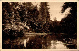 Environs De CIREY 54 - Etang De Châtillon- Q-3 - Cirey Sur Vezouze