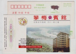 Bird View Of Dujiangyan Irrigation Project In 256 BC,China 1995 Panmei Hotel Advertising Pre-stamped Card - Agua