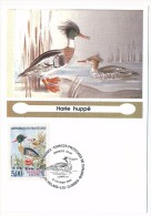FRANCE - 4 Cartes Maximum - Nature De France - Espèces Protégées De Canards - 1993 - Ducks
