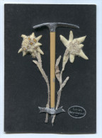 Alpinism, Mountaineering, Climbing - Flowers Ice Ax, NEBELHORN GIPFEL Germany, Souvenir 11 X 8 Cm - Escalade