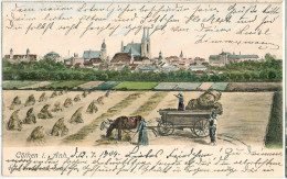 CÖTHEN Köthen Gesamtansicht Mit Kornernte Pferde Wagen Bauern Color Litho 12.7.1904 Gelaufen - Köthen (Anhalt)