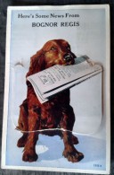 Carte Système BOGNOR REGIS - Here's Some News From... Dog And Newspaper, Chien Et Journal, 12 Mini Vues - Bognor Regis