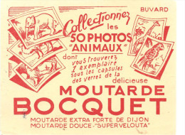 Buvard BOCQUET Moutarde BOCQUET Collectionnez Les 50 Photos D'animaux - Senf