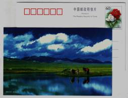 Swan Lake Of Bayinbuluke Steppe,China 2001 Xinjiang Water Conservancy Landscape Advertising Pre-stamped Card - Agua