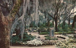 Bellingrath Gardens Mobile Alabama - Mobile