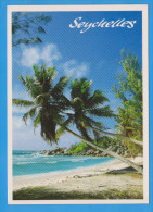 POSTCARD SEYCHELLES + STAMPS - Seychelles