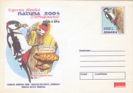 21092- WOODPECKER, BIRDS, MUSHROOMS, COVER STATIONERY, 2004, ROMANIA - Spechten En Klimvogels