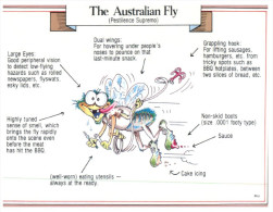 (560) Australia - Fly (humour) - Outback