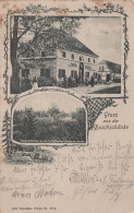 Litho AK Gruss Buschschänke Buschhaus Schänke Gasthof Bei Reinhardtsgrimma Hausdorf Glashütte Schlottwitz Bahnpost - Glashütte