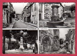 46 SALVIAC - Une Rue - La Fontaine - Place De L'Oratoire - Portail De L'église - Salviac