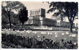 76 LE HAVRE ++ Jardins De L'Hôtel De Ville ++ - Square Saint-Roch