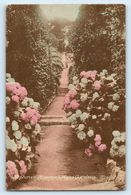 POSTCARD NEPTUNES AVENUE TRESCO GARDENS KING SCILLY ISLES UK CORNWALL 1923 POSTMARK SENT TO AUGUSTA STREET LLANDUDNO - Scilly Isles