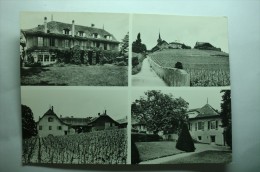 Château De Féchy Vaud - Maison De Repos Pour Malades Et Handicapés - Féchy