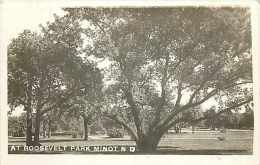 249041-North Dakota, Minot, RPPC, Roosevelt Park, Scenic View - Minot