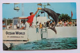 Ocean World, Ft. Lauderdale, Florida, 1969 - Fort Lauderdale