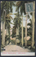 POS-56 CUBA.1928. TARJETA POSTAL A CHECOSLOVAQUIA. POSTCARD. JARDIN BOTANICO. BOTANICAL GARDEN - Used Stamps