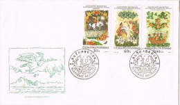 13378. Carta RUZOMBEROK (Checoslovaquia) 1968. Cuentos Eslovacos - Briefe U. Dokumente