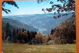 Höchenschwand, Waldshut, Baden-Württemberg, AK Gelaufen - Hoechenschwand