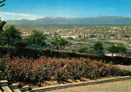 TORINO   PANORAMA  DEL  PARCO  EUROPA  DI  CAVORETTO    SFONDO   MONVISO     (VIAGGIATA) - Parchi & Giardini