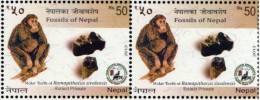 Prehistoric RAMAPITHECUS Fossil IMPERF TRIAL/PROOF Stamp NEPAL 2013 MINT/MNH - Schimpansen