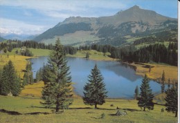 Switzerland, Suisse, Lauenensee Mit Lauenenhorn, 1991 Used Postcard [16076] - Lauenen