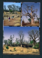 GAMBIA  -  Rural Scenes  Multi View  Unused  Postcard As Scan - Gambie