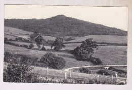 CPA DPT 58 ST HONORE LES BAINS, CHEMIN DU DESERT, LA VIEILLE MONTAGNE En 1962!! - Saint-Honoré-les-Bains