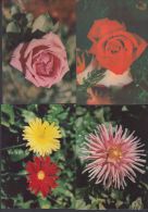 1976-EP-15 CUBA 1976. Ed.119. MOTHER DAY SPECIAL DELIVERY. POSTAL STATIONERY. SET 5-5. ANTONIO MACEO. FLORES. FLOWERS. U - Briefe U. Dokumente