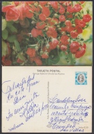 1977-EP-20 CUBA 1977. Ed.120d. MOTHER DAY SPECIAL DELIVERY. POSTAL STATIONERY. ANTONIO MACEO. FLORES. FLOWERS. USED. - Briefe U. Dokumente