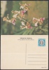 1978-EP-20 CUBA 1978. Ed.121e. MOTHER DAY SPECIAL DELIVERY. POSTAL STATIONERY. ANTONIO MACEO. FLORES. FLOWERS. UNUSED. - Storia Postale