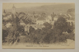 39 - Orgelet - Vue Générale - Orgelet