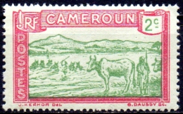 CAMEROUN 1925  Cattle Fording River  -  2c - Green & Red On Green  MH - Unused Stamps