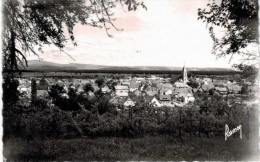 Habsheim Vue Générale - Habsheim