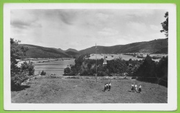 CPA CPSM 25 Château De VAIRE-Le-GRAND Doubs - Le Parterre Est - Mouthe