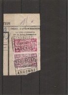 Belgique -NordBelge ( TR 249 Et 255 Sur Fragment à Oblitération " NORD BELGE -ANDENNE") - Nord Belge
