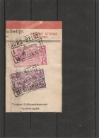 Belgique -Nord Belge ( TR 141 Et 157 Sur Fragment à Oblitération " NORD BELGE -VAL-SAINT-LAMBERT1") - Nord Belge