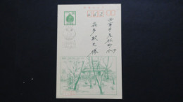 Japan - Postal Stationary/postcard - Used - Look Scan - Brieven En Documenten