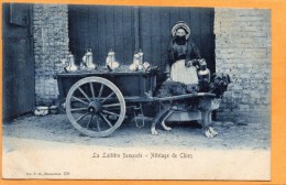 La Laitiere Flamande 1905 Postcard - Petits Métiers