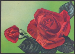 1983-EP-84 CUBA 1983. Ed.133d. MOTHER DAY SPECIAL DELIVERY. POSTAL STATIONERY. 2 ROSAS ROJAS. ROSES. FLORES. FLOWERS. US - Briefe U. Dokumente