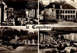 91-MILLY La FORET..AUBERGE "LE COQUIBUS"..4 VUES..CPSM GRAND FORMAT - Milly La Foret